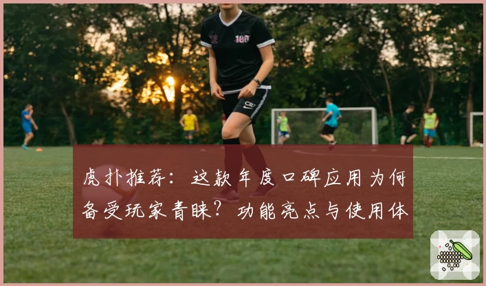 虎扑推荐：这款年度口碑应用为何备受玩家青睐？功能亮点与使用体验深度解析
