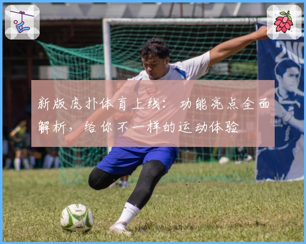 新版虎扑体育上线：功能亮点全面解析，给你不一样的运动体验