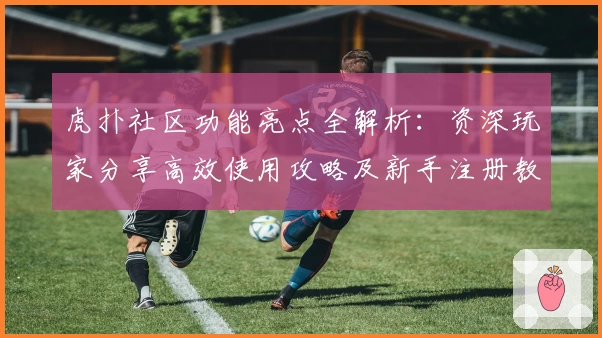 虎扑社区功能亮点全解析：资深玩家分享高效使用攻略及新手注册教程